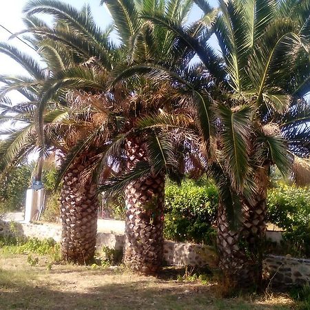 Guesthouse Karidia Skala Eresou Zewnętrze zdjęcie