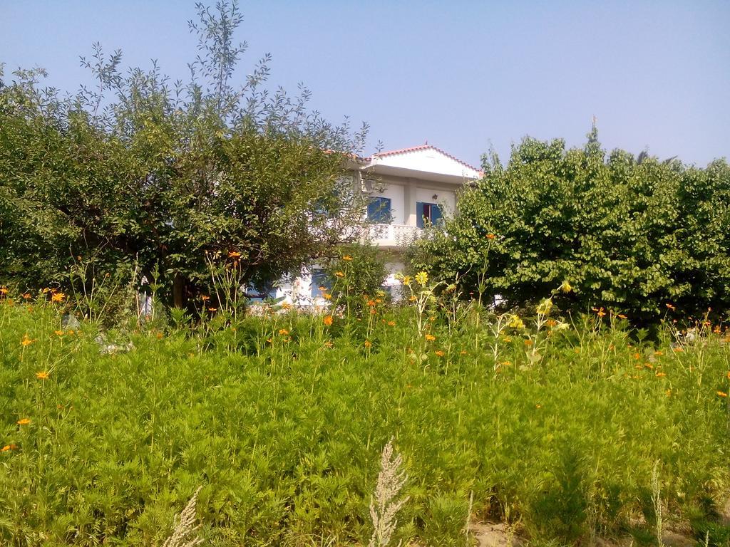 Guesthouse Karidia Skala Eresou Zewnętrze zdjęcie