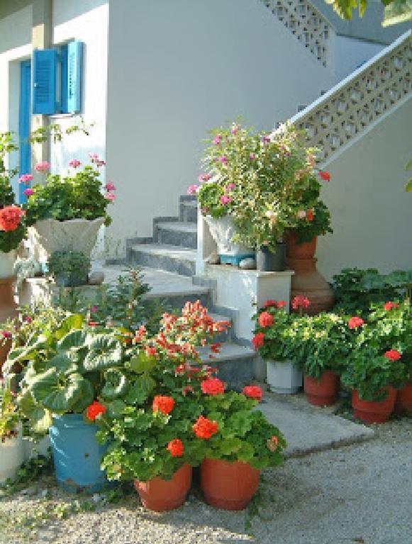 Guesthouse Karidia Skala Eresou Zewnętrze zdjęcie
